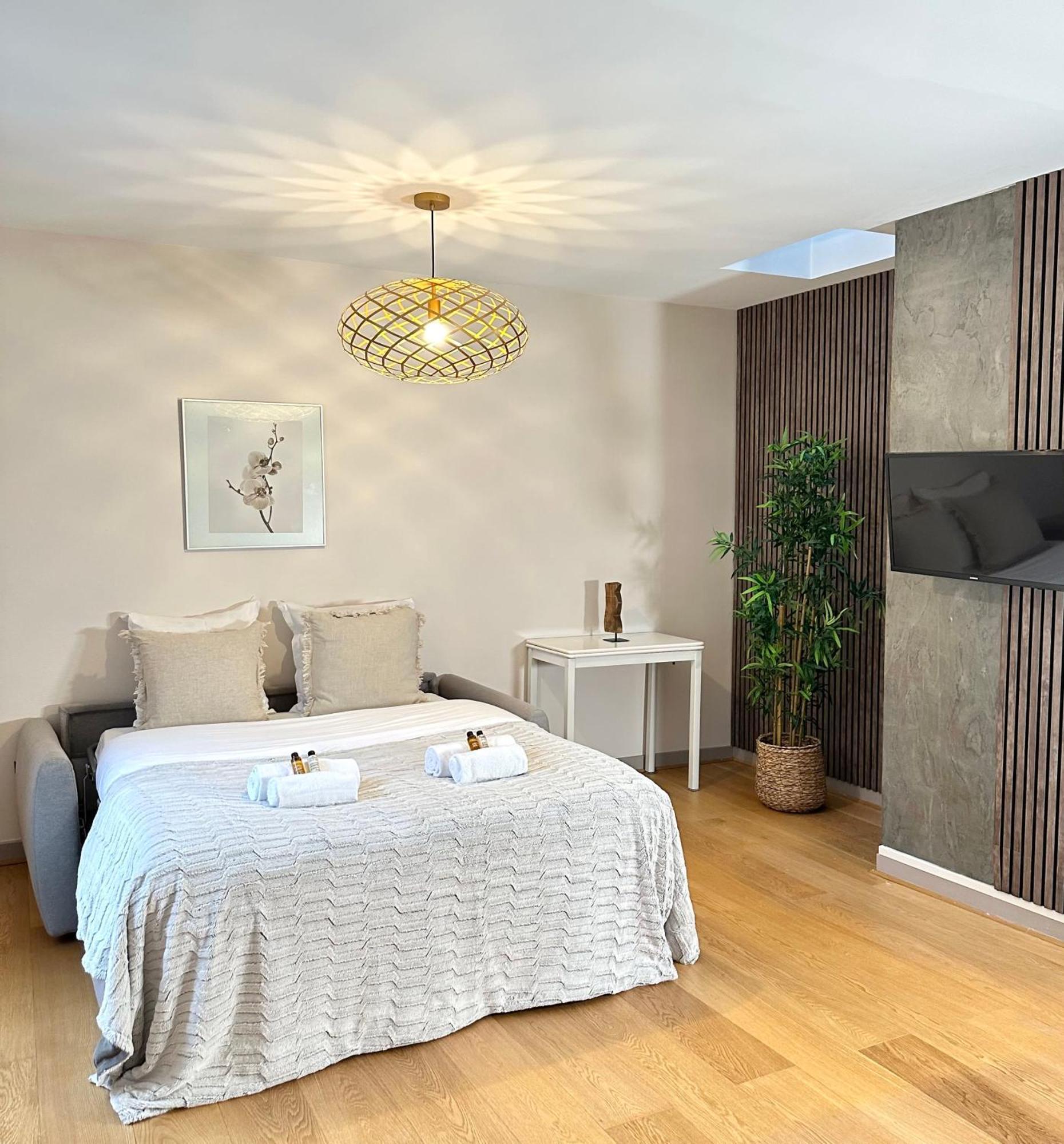 Spacious Flat Near Porte De Versailles